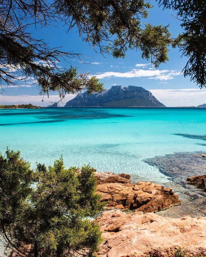Porto Istana Beach House Ольбия Экстерьер фото